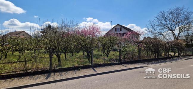 photo For sale Land OSLON 71