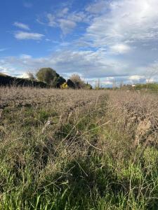 Vente Terrain ROCHEFORT-DU-GARD 30650