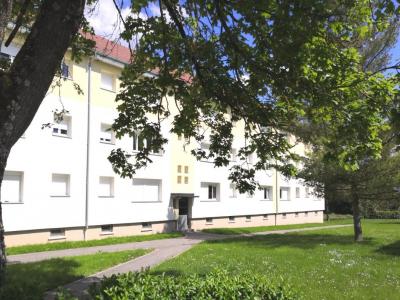Location Appartement MIRECOURT 88500