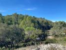 Vente Terrain Cournonterral 34
