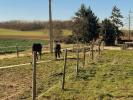 Acheter Maison Sens 636000 euros