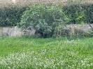 Acheter Terrain 400 m2 Salon-de-provence