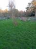 Acheter Maison 100 m2