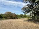 House ADJOTS VERTEUIL-SUR-CHARENTE