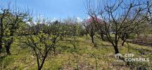Land OSLON 