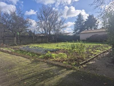 Vente Terrain SAINTE-FOY 85150
