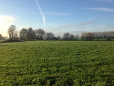 photo For sale Land RACHES 59