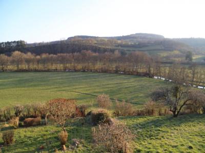 Vente Maison CHISSEY-EN-MORVAN 