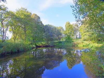 photo For sale Land GROSBREUIL 85