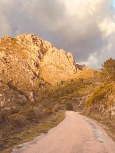 Vente Terrain SANTA-MARIA-FIGANIELLA  20
