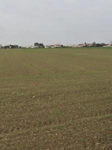 Vente Terrain VILLEDOUX 17230