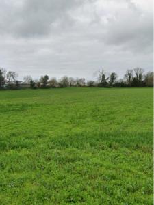 photo For sale Land BALLON 17