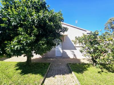 photo For sale House PRUNELLI-DI-FIUMORBO 20