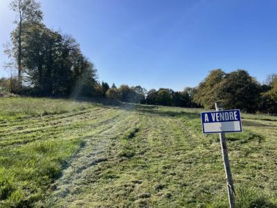 Vente Terrain BONNAC-LA-COTE 87270