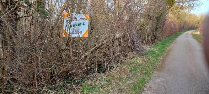 photo For sale Land CRANCEY 10