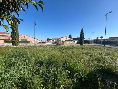 Vente Terrain MUY 83490