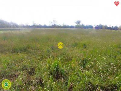 Vente Terrain MONTET 03240