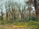Land GRAYAN-ET-L'HOPITAL 