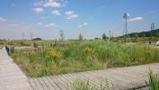 Acheter Terrain 421 m2 Bailleul-sur-therain