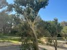 For sale Apartment Martigues  13500 82 m2 4 rooms