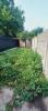 Acheter Maison 70 m2 Aniche