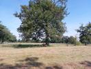 Acheter Terrain Creuse