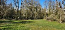 Acheter Maison 310 m2 Saint-remy-en-bouzemont-saint-ge