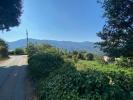 Land TAVACO 