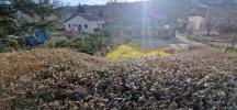 Annonce Vente Terrain Satillieu
