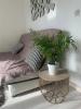 Annonce Location Appartement Saint-laurent-du-var