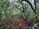 Annonce Vente Terrain Bras