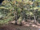 Annonce Vente 5 pièces Maison