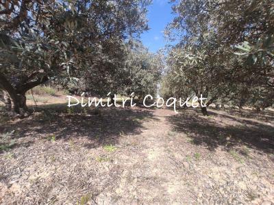Vente Terrain PEZENAS 34120