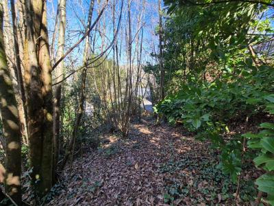 photo For sale Land TULLE 19