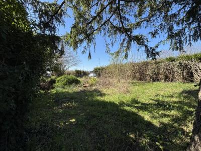 photo For sale Land ARGENTAN 61