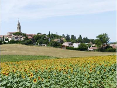 Vente Terrain CHATUZANGE-LE-GOUBET 26300