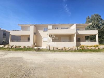 Vente Appartement 2 pièces PRUNELLI-DI-FIUMORBO 20243