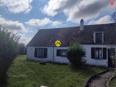 photo For sale House JOUET-SUR-L'AUBOIS 18
