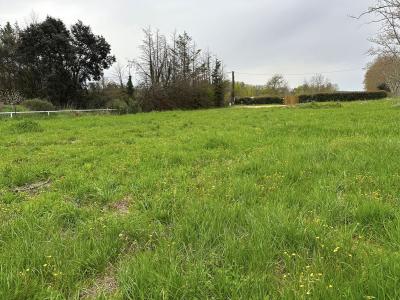 photo For sale Land POUZOLS 34