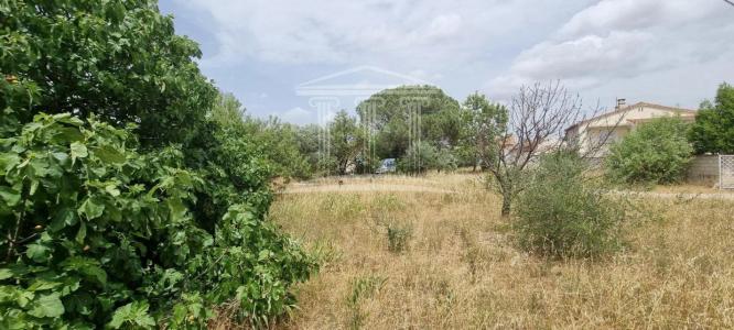 Vente Terrain SORGUES 84700