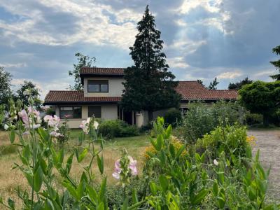 Vente Maison 7 pièces FEURS 42110