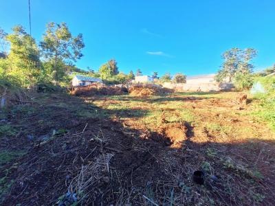 Vente Terrain SAINT-PAUL 97460