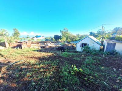 Vente Terrain SAINT-PAUL 97460