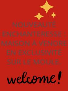 photo For sale House MOULE 971
