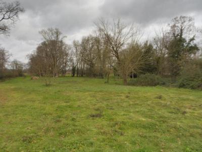 Vente Terrain COUTRAS 33230