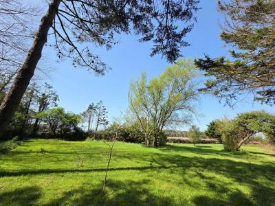Vente Terrain PLOUHINEC 56680