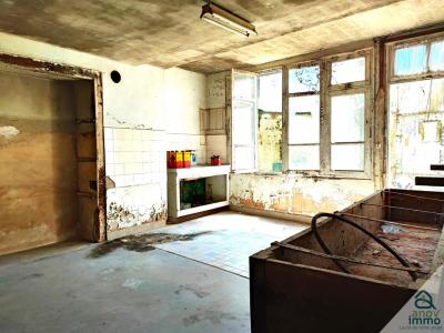 Vente Maison USSON-DU-POITOU 