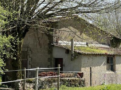 Vente Maison 2 pièces CHAMPAGNE-MOUTON 16350