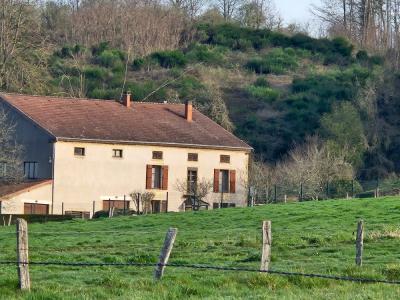 Vente Maison 13 pièces ESCLES 88260