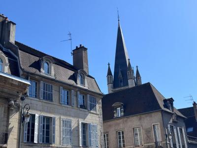 Vente Appartement 3 pièces DIJON 21000